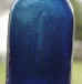 buck1blue.jpg (16558 bytes)